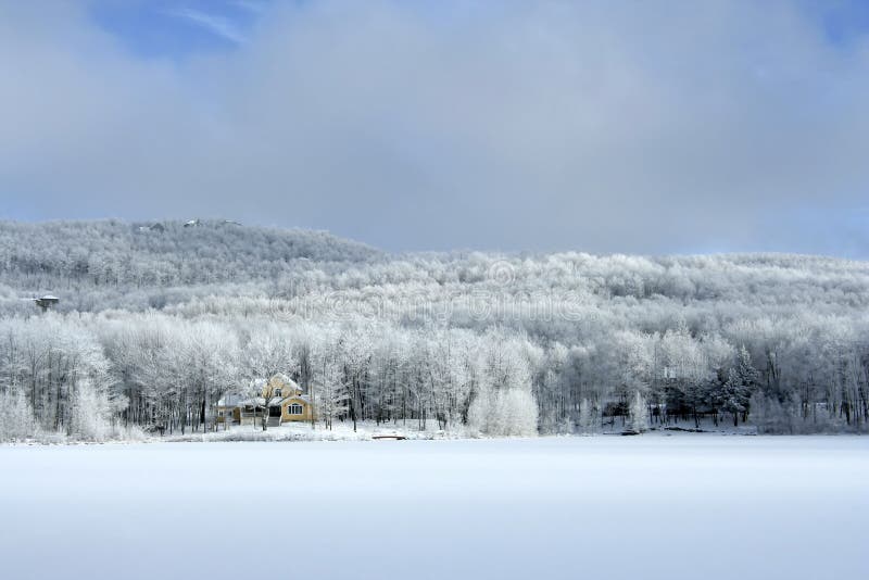 Silence In The Woods Picture. Image 2299228