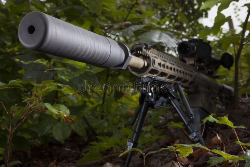 Silencer stock image. Image of bipod, spring, scope, branches - 68743949