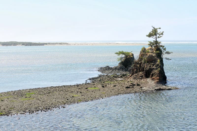 An outcropping with trees and vegetation in the Siletz bay National wildlife refuge in Lincoln City, Oregon. An outcropping with trees and vegetation in the Siletz bay National wildlife refuge in Lincoln City, Oregon