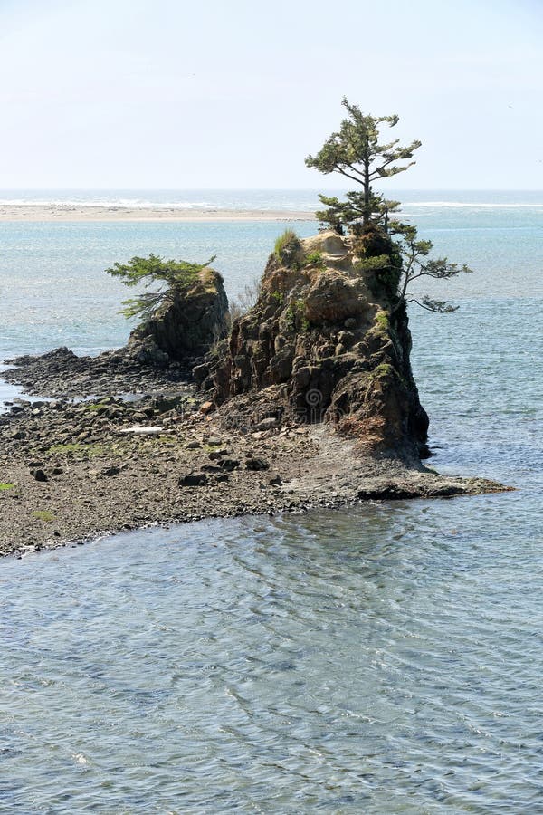 An outcropping with trees and vegetation in the Siletz bay National wildlife refuge in Lincoln City, Oregon. An outcropping with trees and vegetation in the Siletz bay National wildlife refuge in Lincoln City, Oregon