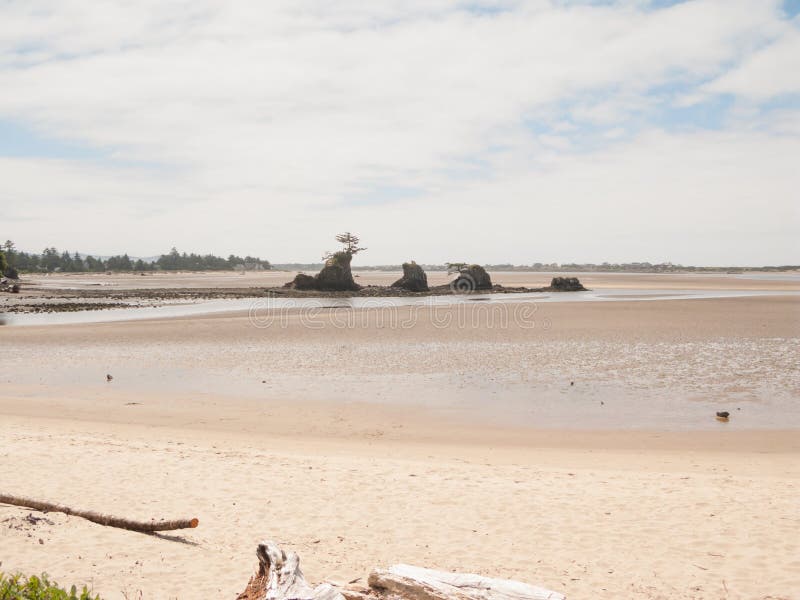 Horizontal image of rock outcropping in Siletz Bay during low tide. Horizontal image of rock outcropping in Siletz Bay during low tide