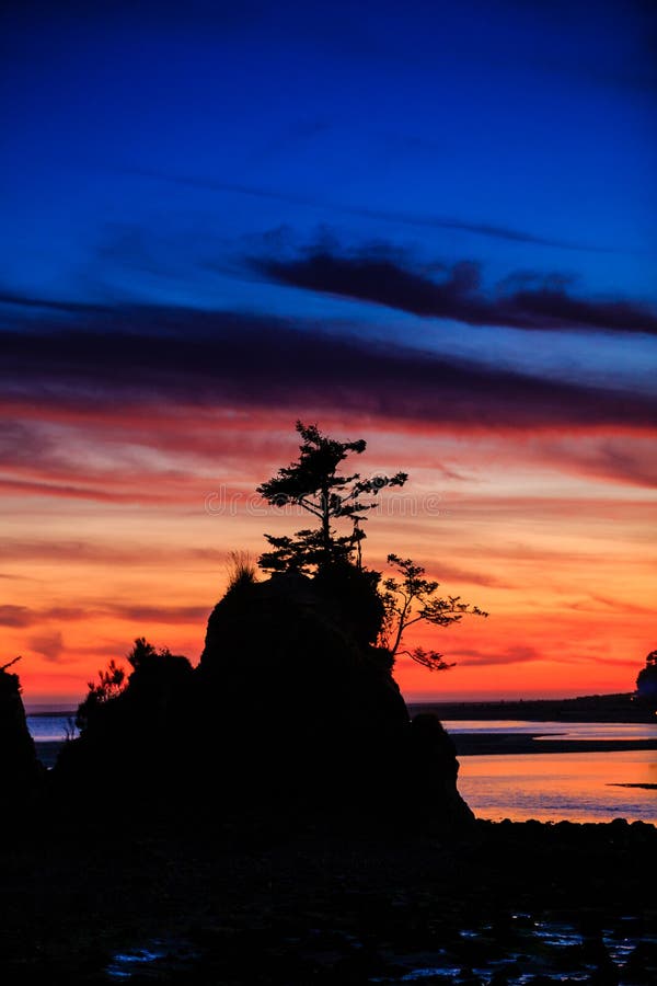 Amazingly beautiful sunset at Siletz Bay with a resilient lone tree on top of a rock overlooking the beach at dusk. Amazingly beautiful sunset at Siletz Bay with a resilient lone tree on top of a rock overlooking the beach at dusk.