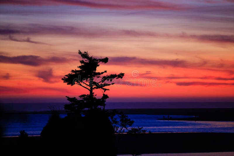 Amazingly beautiful sunset at Siletz Bay with a resilient lone tree on top of a rock overlooking the beach at dusk. Amazingly beautiful sunset at Siletz Bay with a resilient lone tree on top of a rock overlooking the beach at dusk.