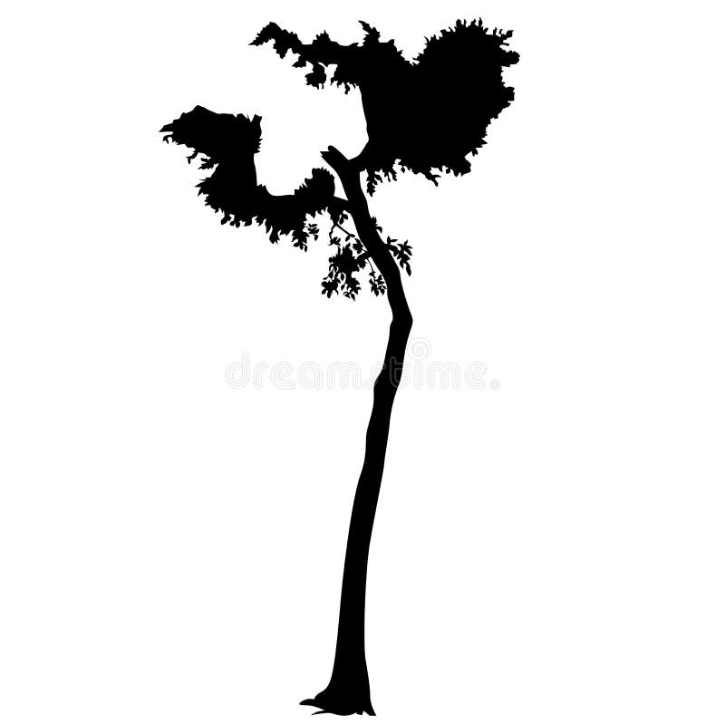 Silhouet 11 van de boom stock illustratie Silhouet 11 van de boom stock illustratie