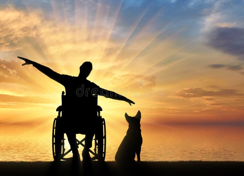Silhouet van de gelukkige gehandicapte mens in rolstoel met zijn hond door het overzees die van de zonsondergang genieten stock foto Silhouet van de gelukkige gehandicapte mens in rolstoel met zijn hond door het overzees die van de zonsondergang genieten stock foto