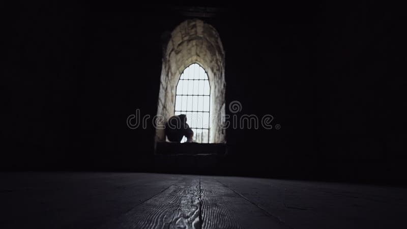 Silhouet van een droevig meisje dat achter de bars in een kerker zit