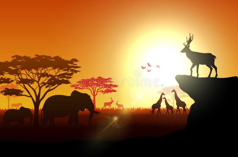 Silhouet van savannas in de middag royalty-vrije illustratie Silhouet van savannas in de middag royalty-vrije illustratie
