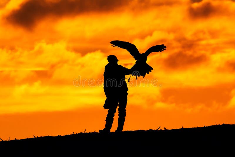 Silhouet van valkenier met adelaar De jacht in de aard stock foto Silhouet van valkenier met adelaar De jacht in de aard stock foto