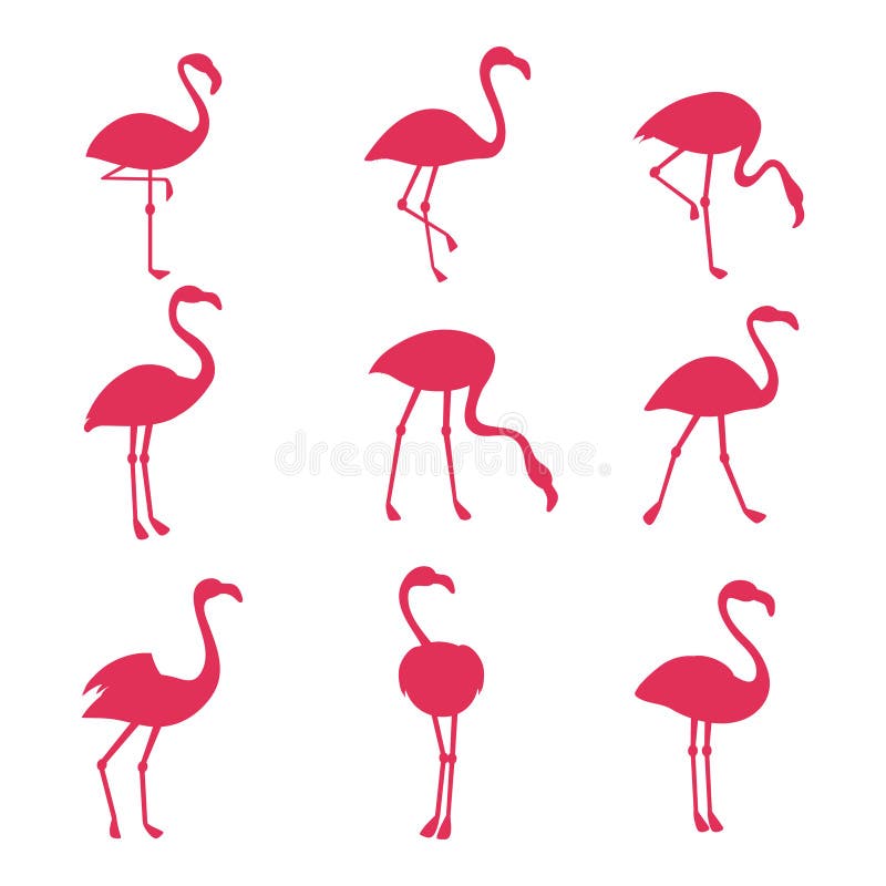 Silhouetes cor-de-rosa do flamingo isolados no fundo branco ilustração stock Silhouetes cor-de-rosa do flamingo isolados no fundo branco ilustração stock