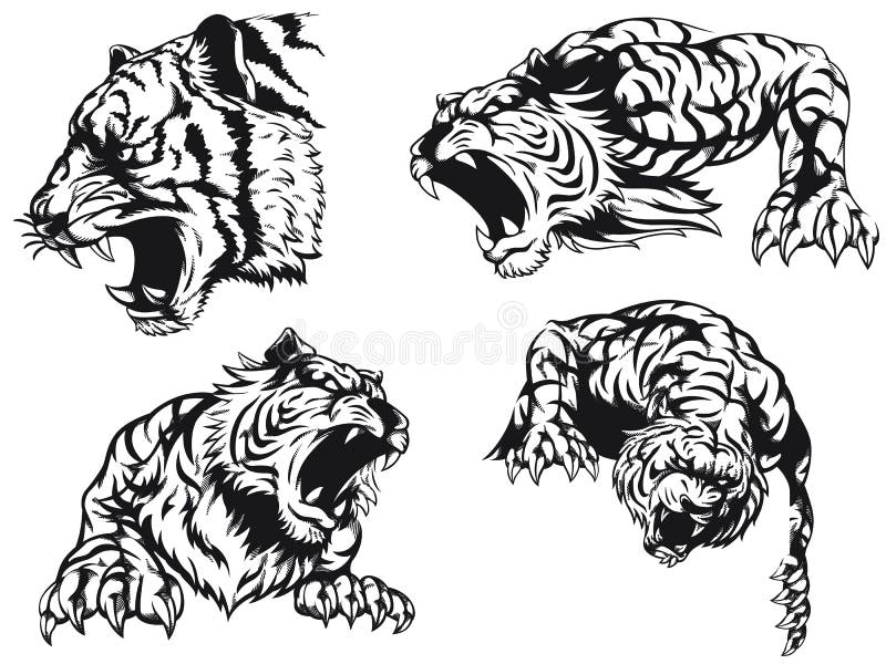 how to draw a tiger roaring