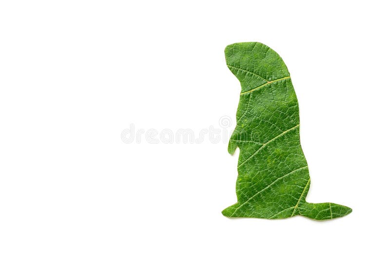 The silhouette of the animal is cut from green foliage on a white background. Groundhog day.