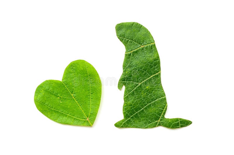 The silhouette of the animal and the heart is carved from green foliage on a white background. Groundhog day.