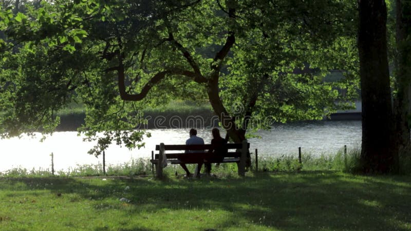 Silhouette assis romantique sur un banc de parc banque de vidéos