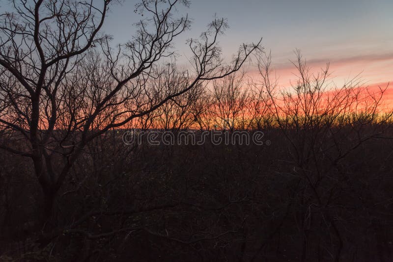 Silhouette of bare tree branches in winter time with beautiful sunrise clouds stock image Silhouette of bare tree branches in winter time with beautiful sunrise clouds stock image