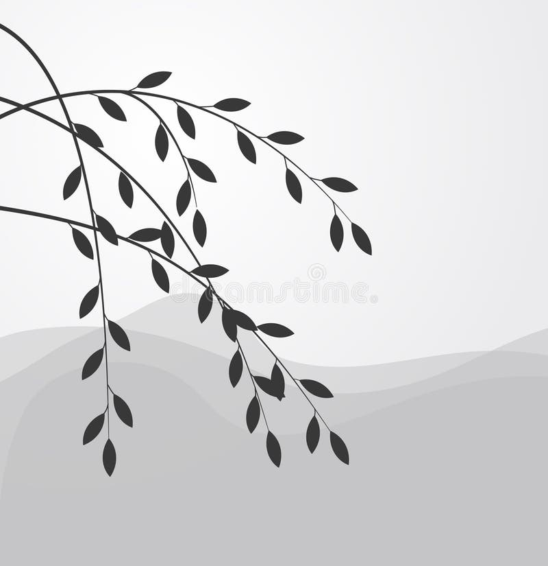 Silhouette of the Branch of a willow