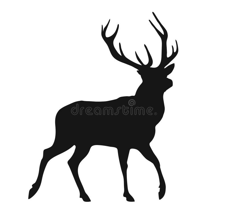 Simple black silhouette of the buck on the white background. Cheetal illustrations