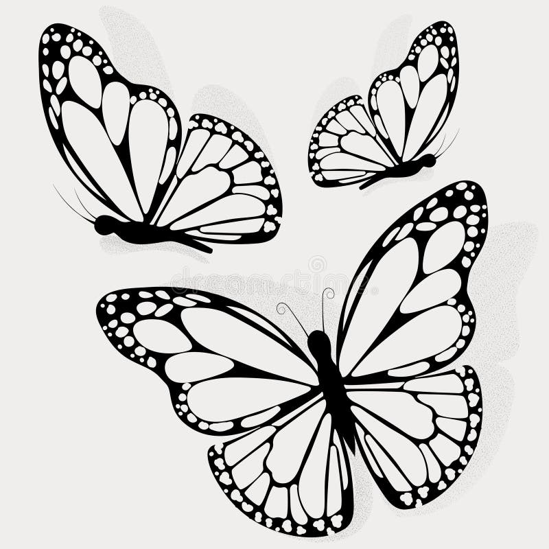 Silhouette of Butterfly. Tattoo Butterfly Stock Illustration - Illustration  of cute, beautiful: 199643605