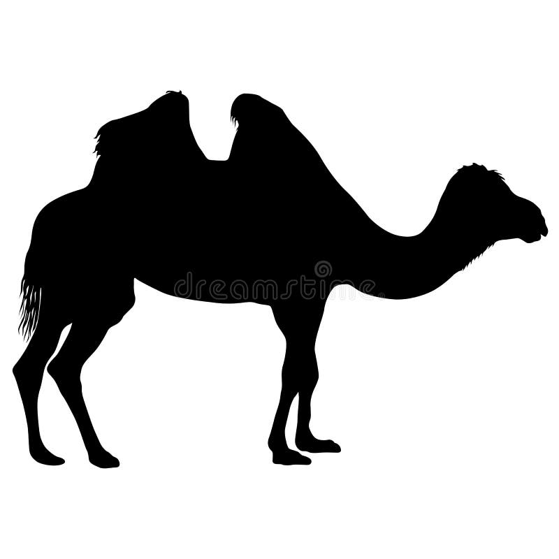 Silhouette of a Camel Caravan Stock Vector - Illustration of animal ...