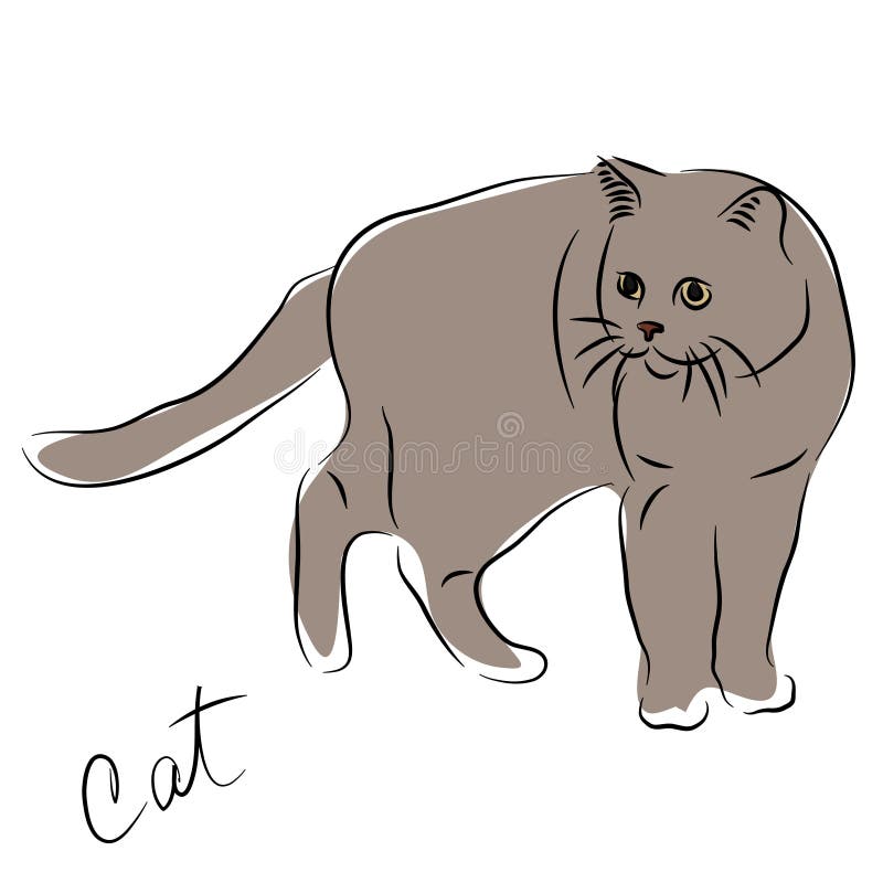 Cat Drawing Silhouette Stock Illustrations 88 743 Cat Drawing