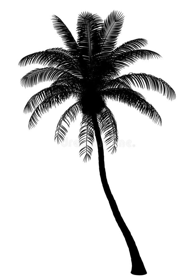 Silhouette of coconut palm tree isolated on white stock illustration