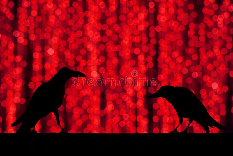 Silhouette crow with festive blur bokeh elegant abstract background with bokeh defocused lights royalty free stock photos