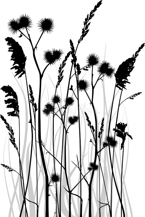 Silhouette d'herbe illustration stock Silhouette d'herbe illustration stock