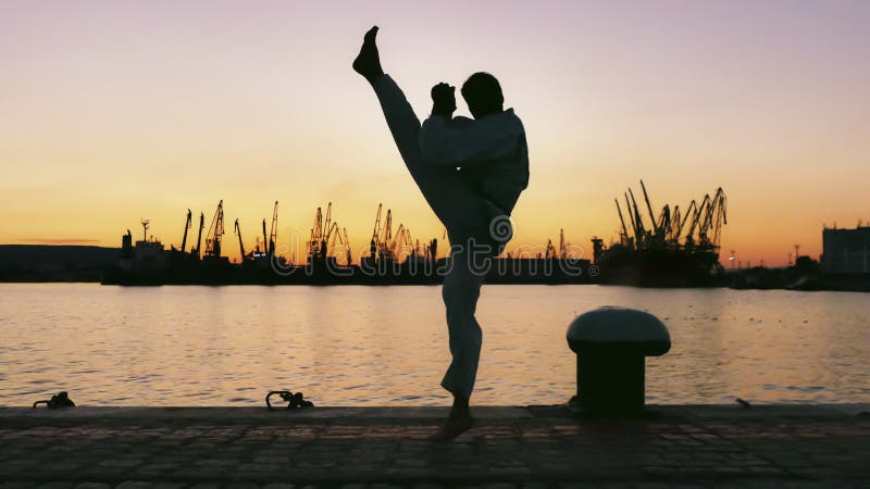 Silhouette Dun Combattant Du Taekwondo Sur Un Coucher Du