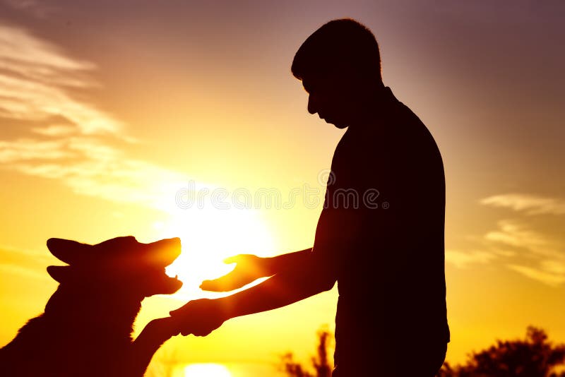 Silhouette d'un homme avec le chien dans le domaine au coucher du soleil, l'animal familier donnant la patte à son propriétaire, photo libre de droits Silhouette d'un homme avec le chien dans le domaine au coucher du soleil, l'animal familier donnant la patte à son propriétaire, photo libre de droits