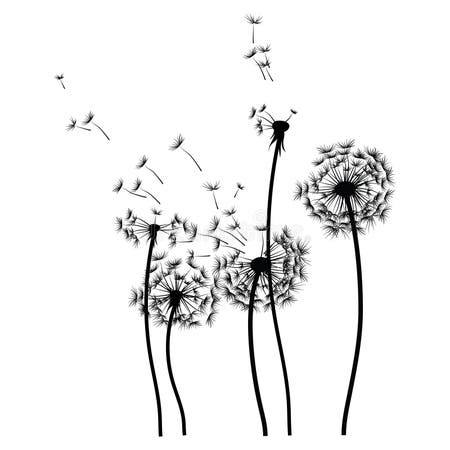 Dandelion Black White Stock Illustrations – 5,337 Dandelion Black White ...