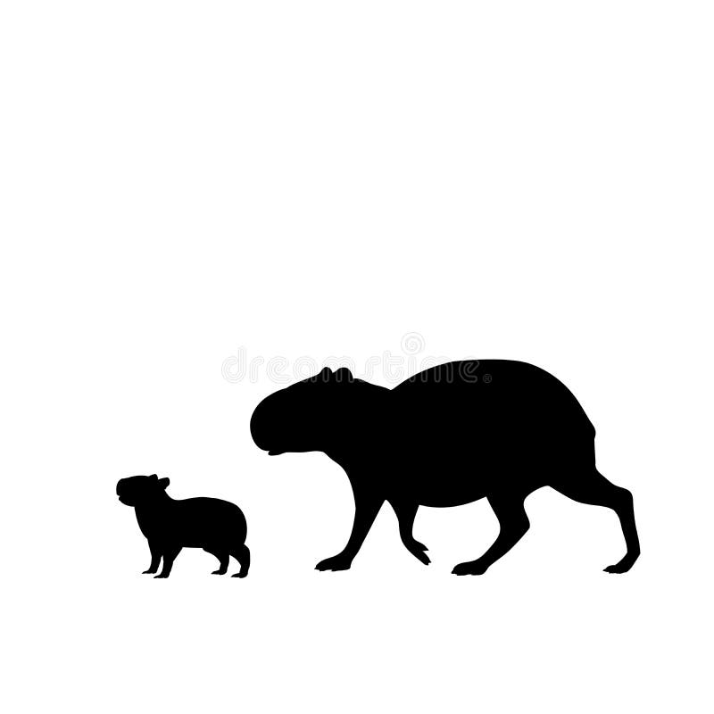 Animal Da Silhueta Do Preto Do Mamífero Do Roedor Do Capybara Ilustração do  Vetor - Ilustração de selvagem, imagem: 92230307