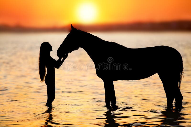 silhouette-de-cheval-et-fille-au-coucher-du-soleil-sur-la-rivi%C3%A8re-157494807.jpg