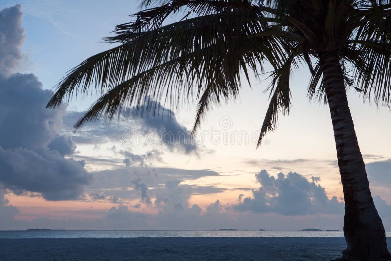 Silhouette de palmier sur la plage tropicale de coucher du soleil photo libre de droits Silhouette de palmier sur la plage tropicale de coucher du soleil photo libre de droits