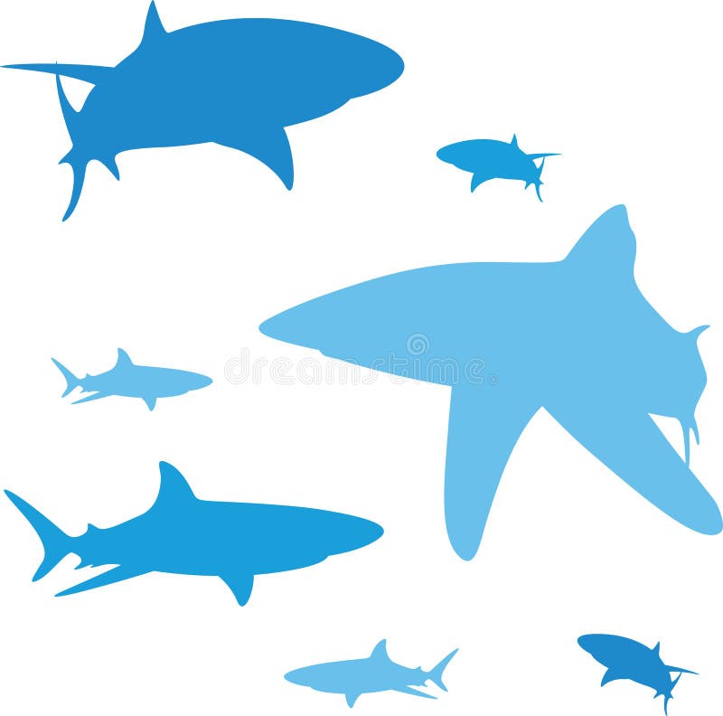 The various aspects of ground white sharks. The various aspects of ground white sharks