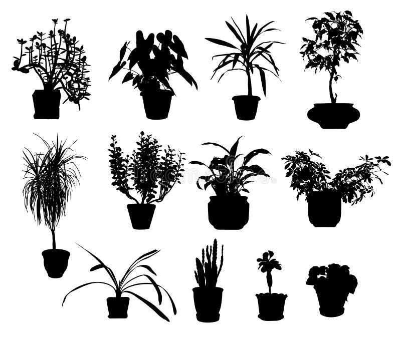 Silhouette of different potted plants