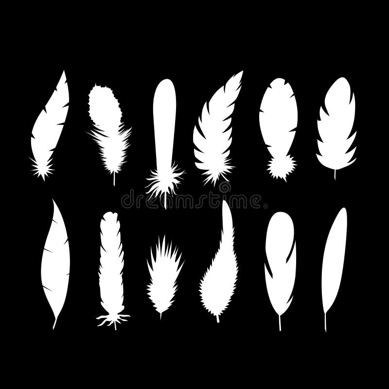 Download Set Of Different Bird Wing Feathers. Flying Quills Symbols ...