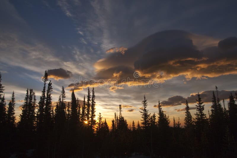 Silhouette evergreen trees at sunrise with beautiful clouds