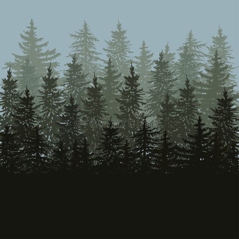 Silhouette of fir trees scape