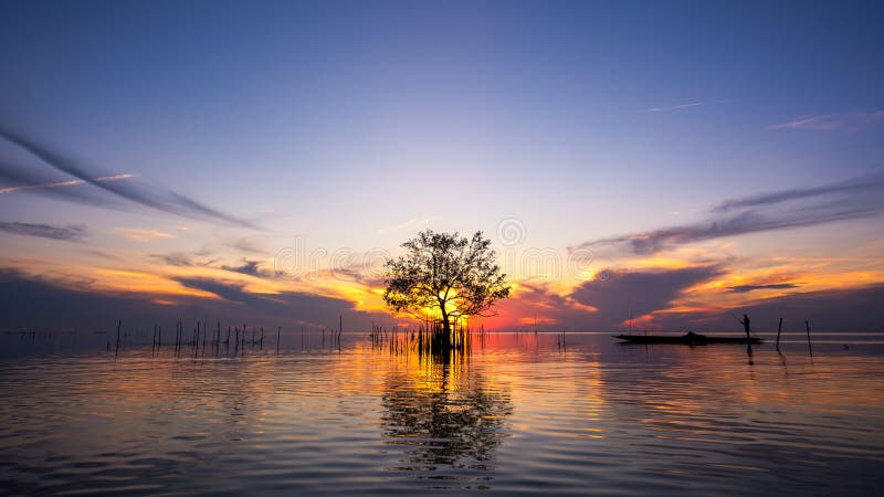 Silhouette of fisherman in boat with mangrove tree in lake on sunrise at Pakpra village