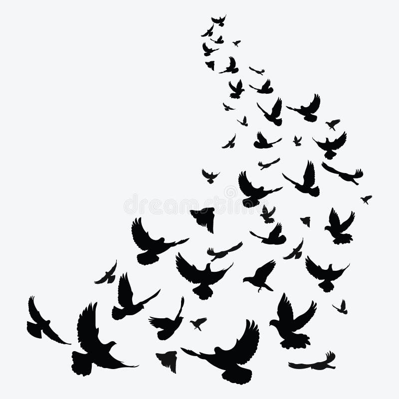 Silhouette Of A Flock Of Birds Black Contours Of Flying Birds Flying  Pigeons Tattoo Isolated Objects On White Background Royalty Free SVG  Cliparts Vectors And Stock Illustration Image 83302350