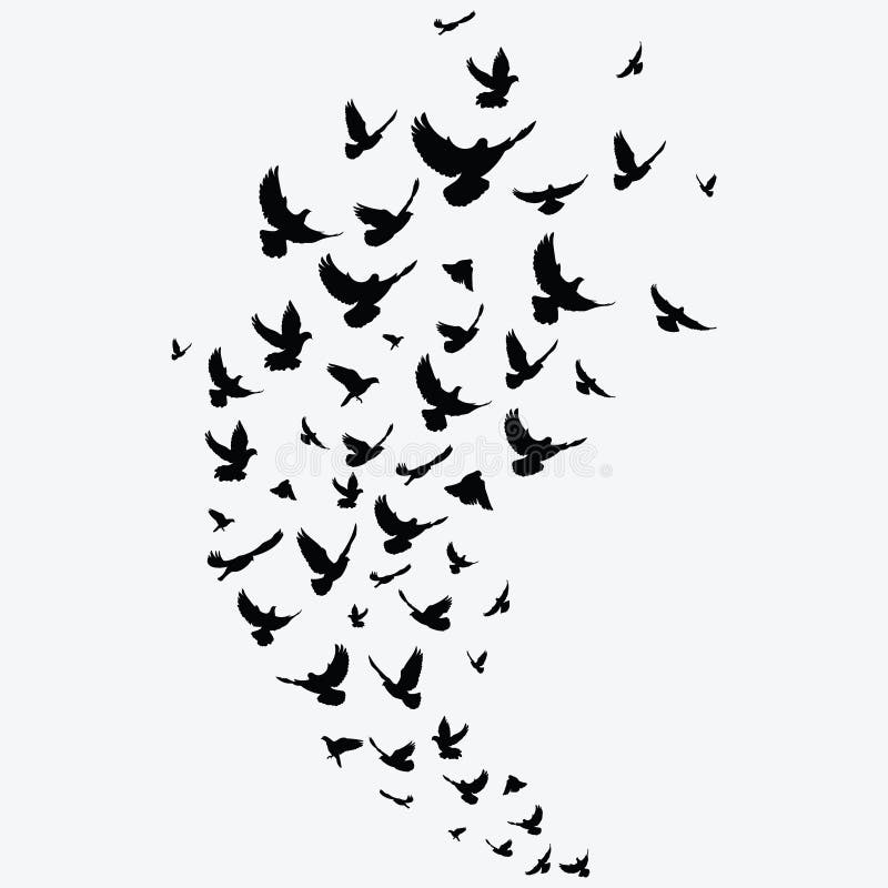 Starling Flock Stock Illustrations – 345 Starling Flock Stock Illustrations, Vectors & Clipart - Dreamstime