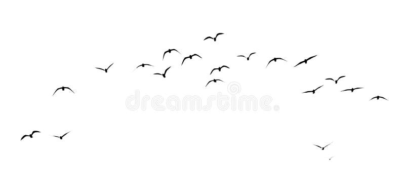 Silhouette of a flock of birds on a white background stock photos
