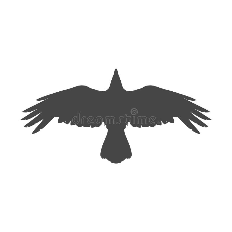 Sticker drawn flying crow on white background front - PIXERS.US
