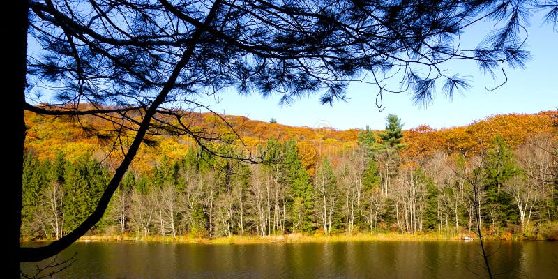 Silhouette framed autumn beauty shot