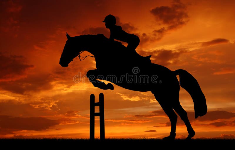 Silhouette of horse