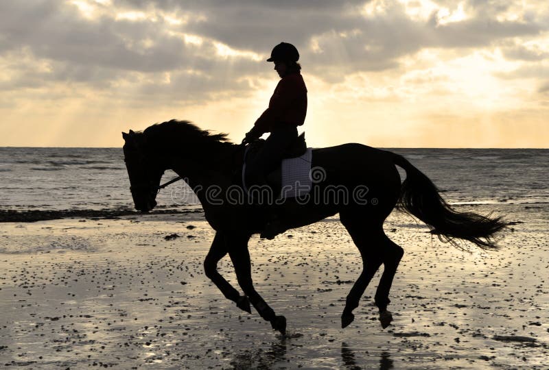 Silhouette of a Horse Rider Cantering on the Beach