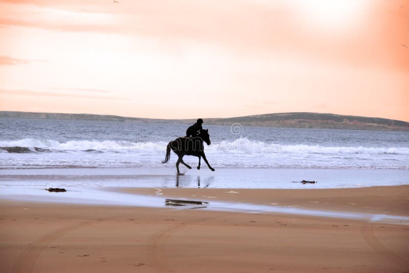 Silhouette of a horse and rider galloping