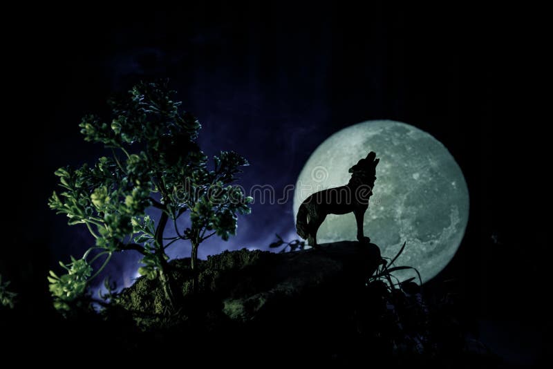 Silueta z trucovitému vlk proti tmavý tónovaný mlhavý a měsíc v úplňku nebo vlk v silueta trucovitému na měsíc v úplňku.