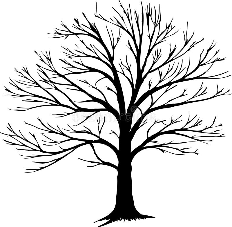Tree silhouette with sprawling bare branches. This is a silhouette of a large, bare tree with sprawling branches extending in various directions. The image shows a tree devoid of leaves, creating a dramatic, intricate outline against a plain background.