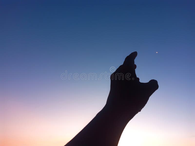 Silhouette of a Left Arm Reaching for the Sky during Sunrise Hours