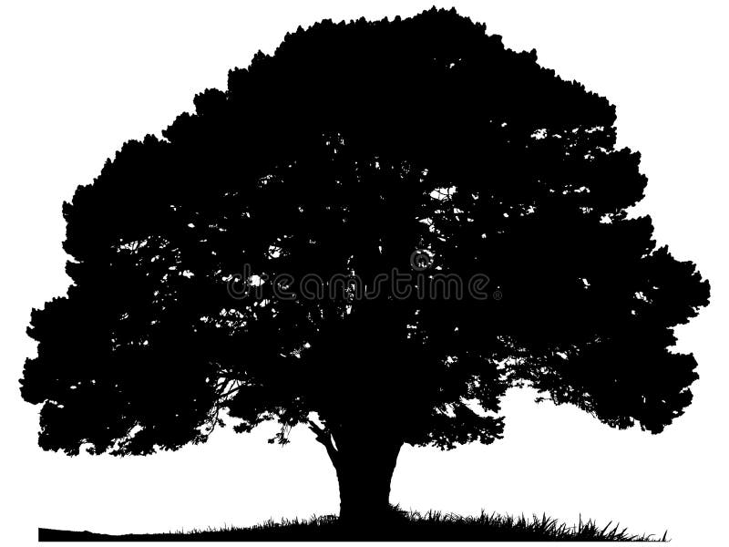 Silueta unui arbore singuratic stock illustration